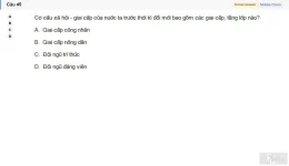 MLN131 SU26 B5 FE_045.webp