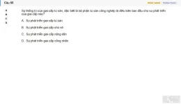 MLN131 SU26 B5 FE_055.webp