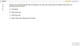 MLN131 SU26 B5 FE_057.webp