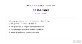 MLN122 SU26 B5 FE_003.webp