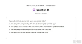 MLN122 SU26 B5 FE_014.webp
