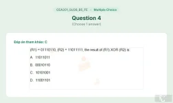 CEA201 SU26 B5 FE_004.webp