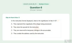CEA201 SU26 B5 FE_006.webp