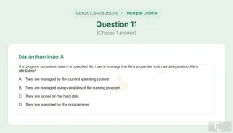 CEA201 SU26 B5 FE_011.webp