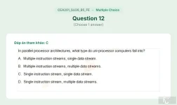 CEA201 SU26 B5 FE_012.webp