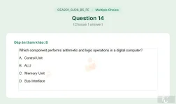 CEA201 SU26 B5 FE_014.webp