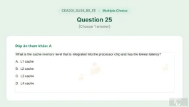 CEA201 SU26 B5 FE_025.webp