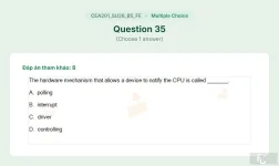 CEA201 SU26 B5 FE_035.webp