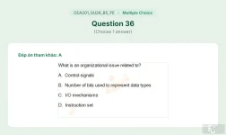 CEA201 SU26 B5 FE_036.webp