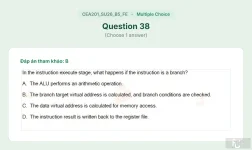 CEA201 SU26 B5 FE_038.webp