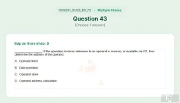 CEA201 SU26 B5 FE_043.webp