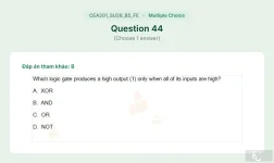 CEA201 SU26 B5 FE_044.webp