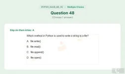 PFP191 SU26 B5 FE_048.webp