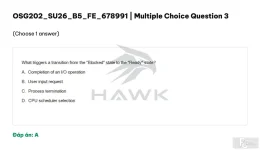 OSG202 SU26 B5 FE_003.webp