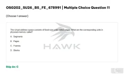 OSG202 SU26 B5 FE_011.webp