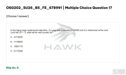 OSG202 SU26 B5 FE_017.webp