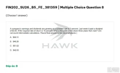 FIN202 SU26 B5 FE_008.webp