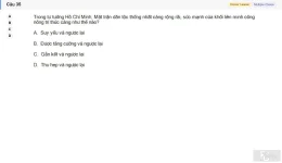 HCM202 SU26 B5 FE_035.webp