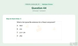 FER202 SU26 B5 FE_044.webp