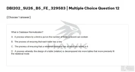 DBI202 SU26 B5 FE_012.webp