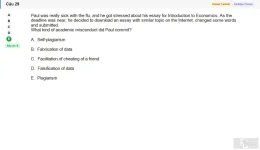 SSL101c SU26 FE RE_029.webp