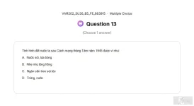 VNR202 SU26 B5 FE_013.webp