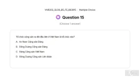 VNR202 SU26 B5 FE_015.webp