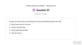 VNR202 SU26 B5 FE_037.webp
