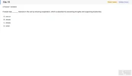 TRS501 SU26 H2 FE VG_013.webp