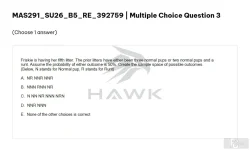 MAS291 SU26 B5 FE RE_003.webp