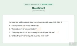 VNR202 SU26 B5 FE RE_003.webp