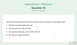 VNR202 SU26 B5 FE RE_015.webp