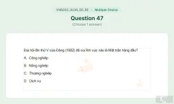 VNR202 SU26 B5 FE RE_047.webp