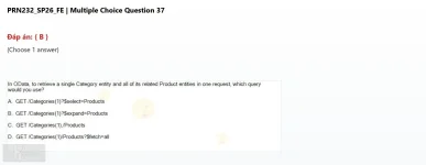 PRN232 SP26 FE_037.webp