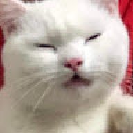 KhanhNgann