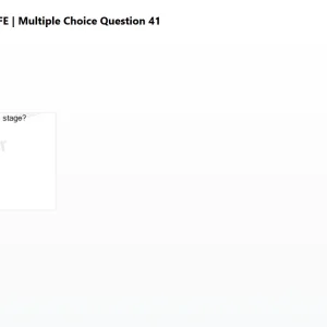 mc_question_41.png