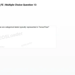 mc_question_13.png