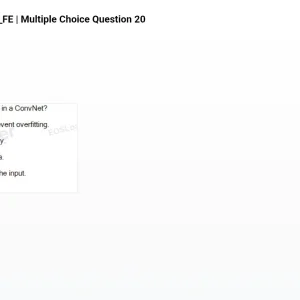 mc_question_20.png