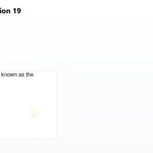 IBI101 SP26 FE RE_019.webp