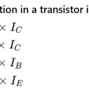 ELC201 SP26 FE RE_Question 24.webp