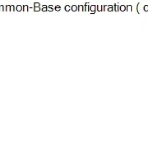 ELC201 SP26 FE RE_Question 25.webp