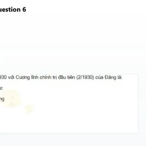 VNR202 SP26 FE RE_006.webp