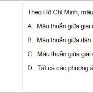 HCM202 SP26 B5 FE_004.webp