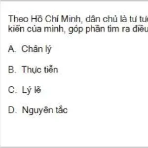 HCM202 SP26 B5 FE_007.webp