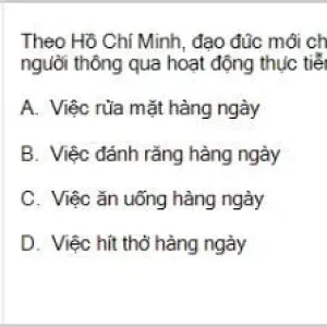 HCM202 SP26 B5 FE_009.webp