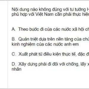 HCM202 SP26 B5 FE_015.webp