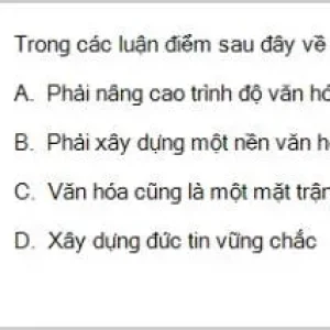 HCM202 SP26 B5 FE_024.webp