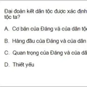 HCM202 SP26 B5 FE_025.webp