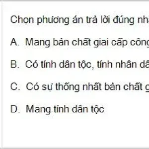 HCM202 SP26 B5 FE_030.webp