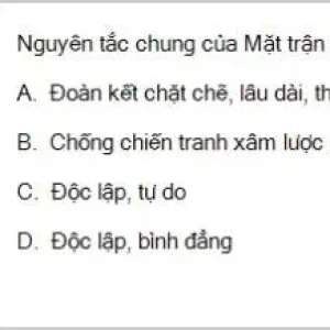 HCM202 SP26 B5 FE_031.webp